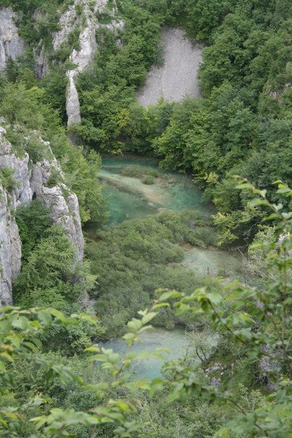 gal/cro 08/small-IMG_5658.JPG